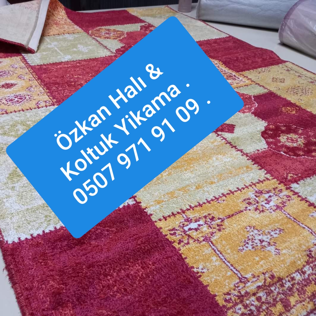 ozkan hali koltuk temizleme guncel reklam